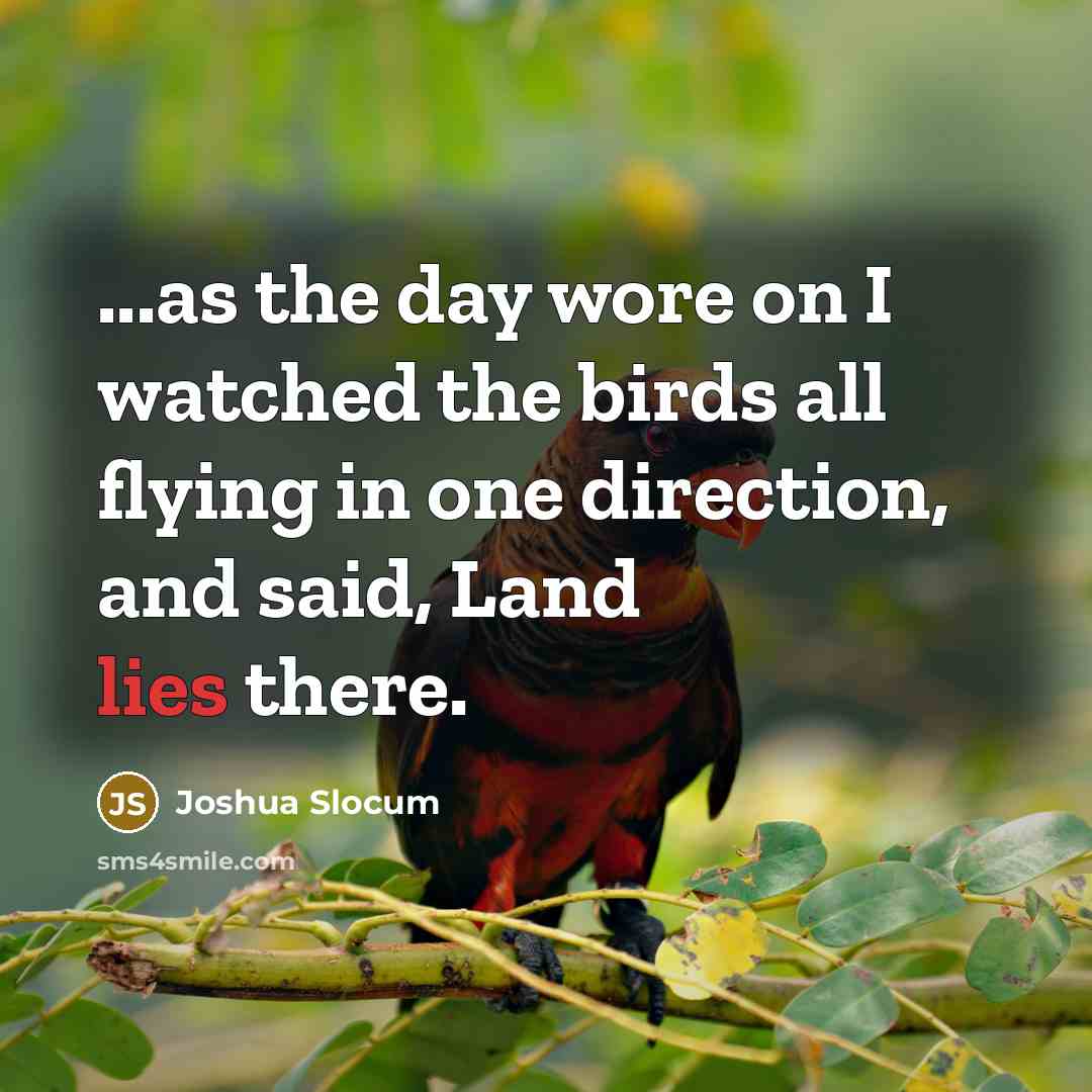 “...as the day wore on I watched the birds all…” quote by Joshua Slocum