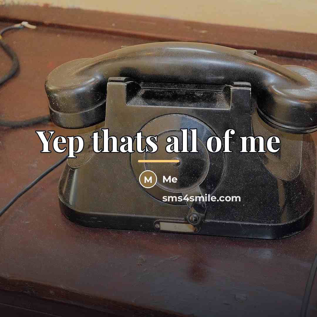 “Yep thats all of me…” quote by Me