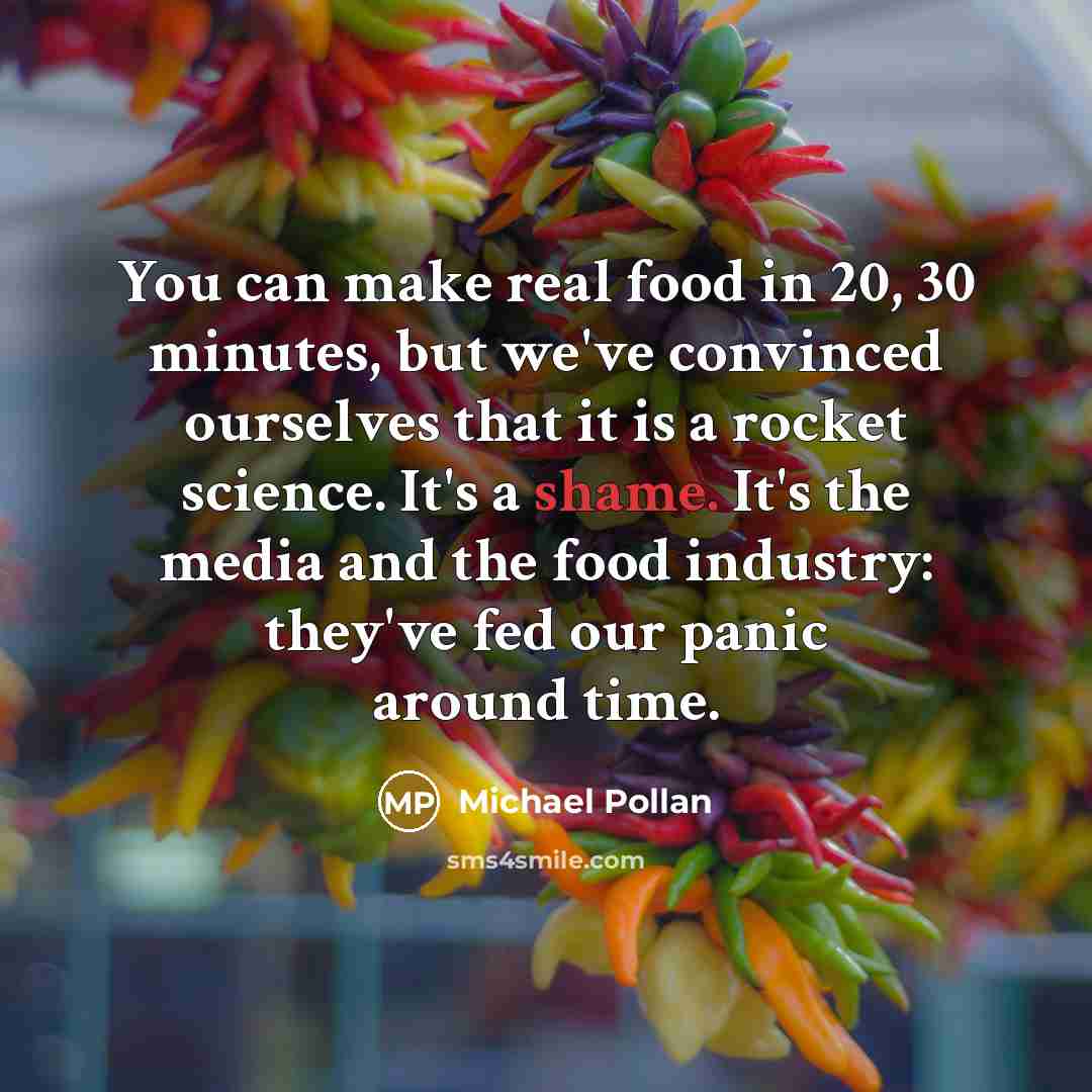 “You can make real food in 20, 30 minutes, but…” quote by Michael Pollan