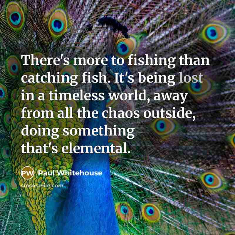 “There's more to fishing than catching fish. It's being lost…” quote by Paul Whitehouse