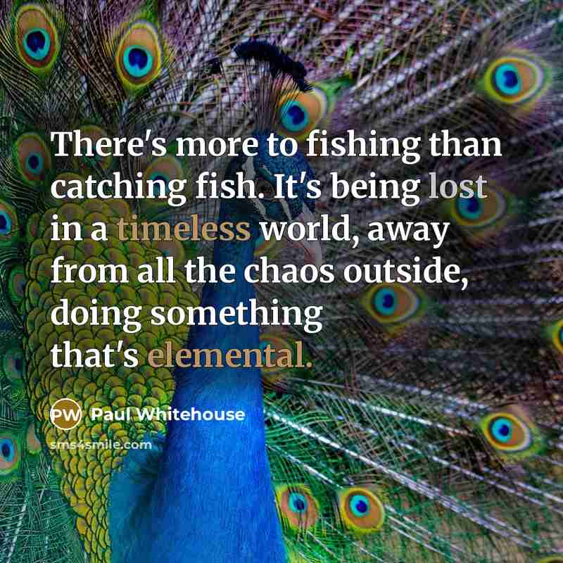 “There's more to fishing than catching fish. It's being lost in a timeless world, away from all the chaos outside, doing something that's elemental.” quote by Paul Whitehouse