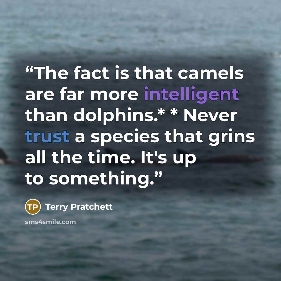 “The fact is that camels are far more intelligent than dolphins.* * Never trust a species that grins all the time. It's up to something.” quote by Terry Pratchett