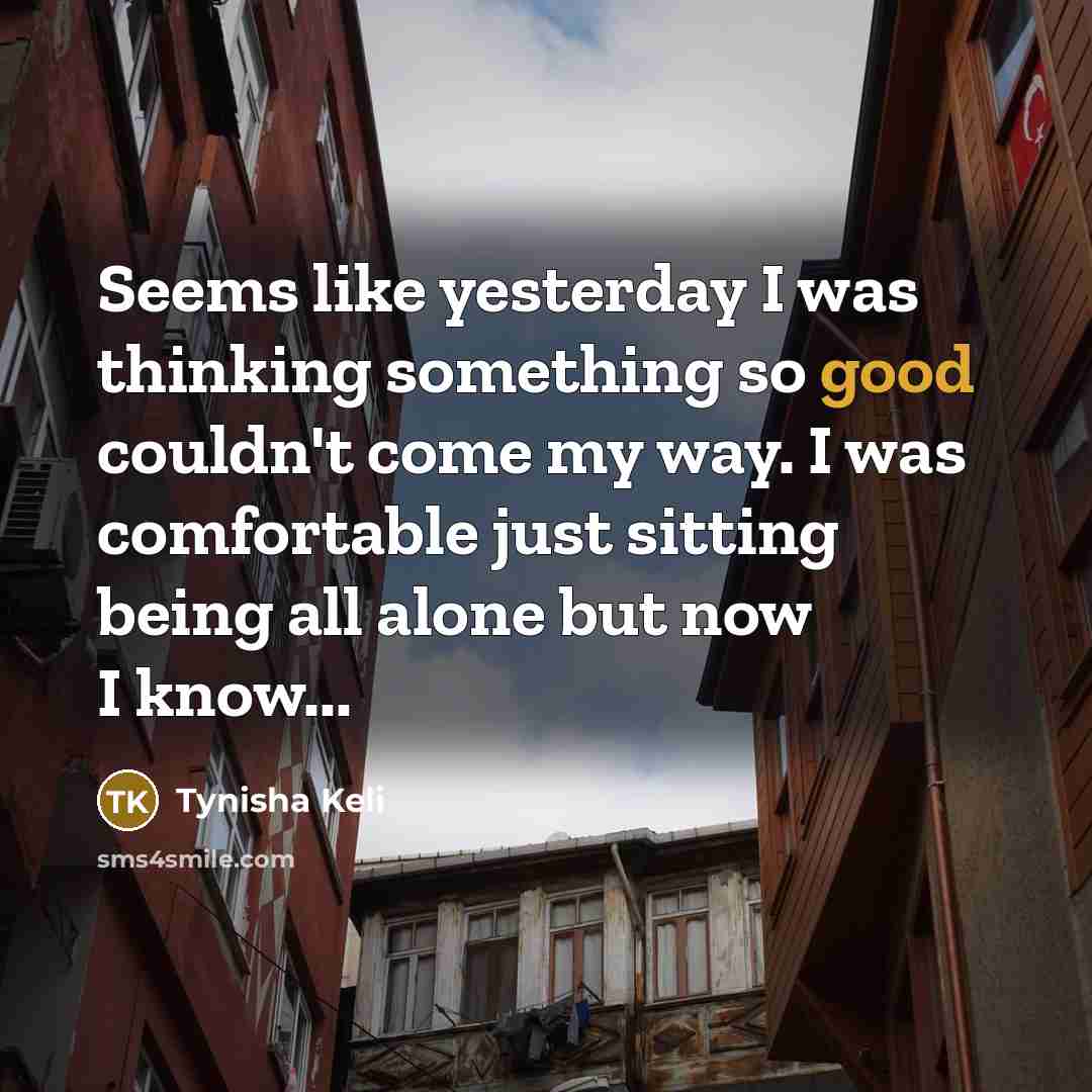 “Seems like yesterday I was thinking something so good couldn't…” quote by Tynisha Keli