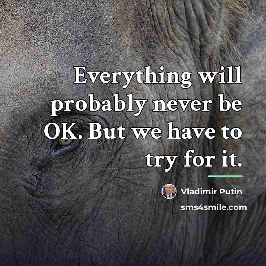 “Everything will probably never be OK. But we have to…” quote by Vladimir Putin