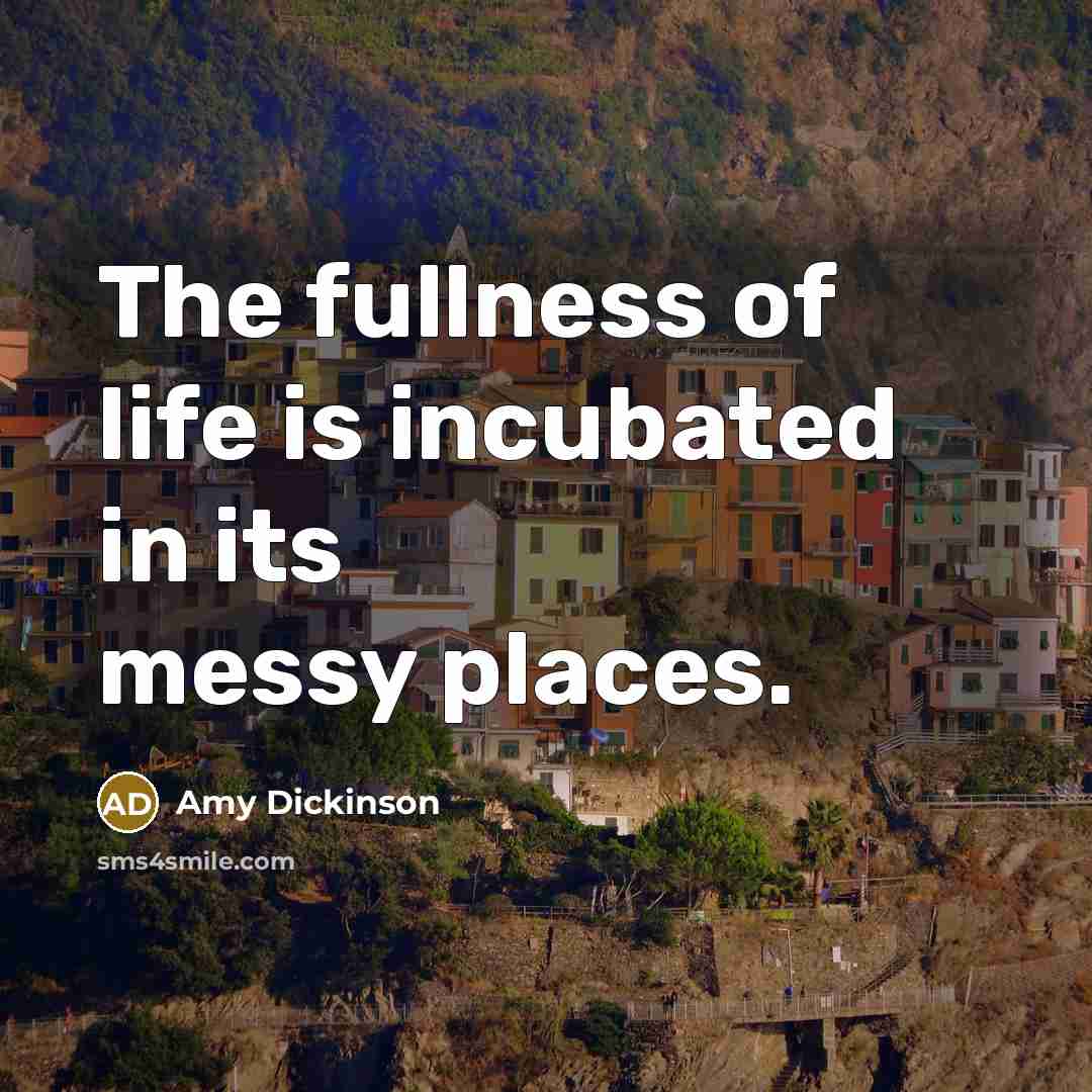 “The fullness of life is incubated in its messy places.…” quote by Amy Dickinson