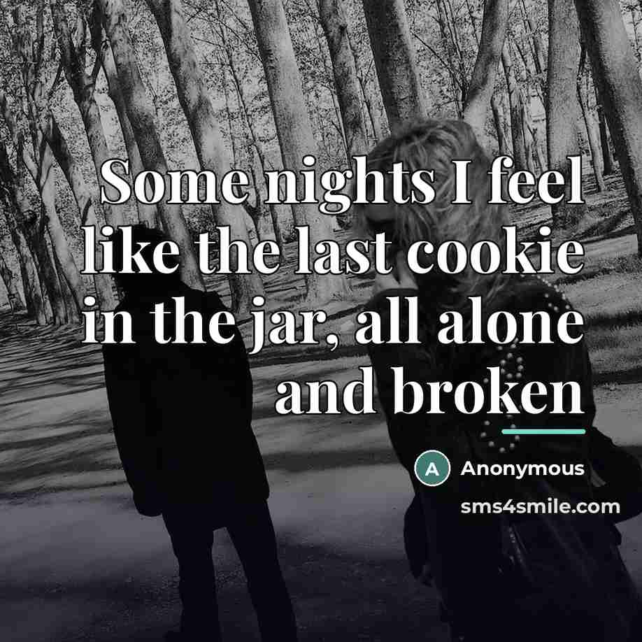 “Some nights I feel like the last cookie in the…” quote by Anonymous
