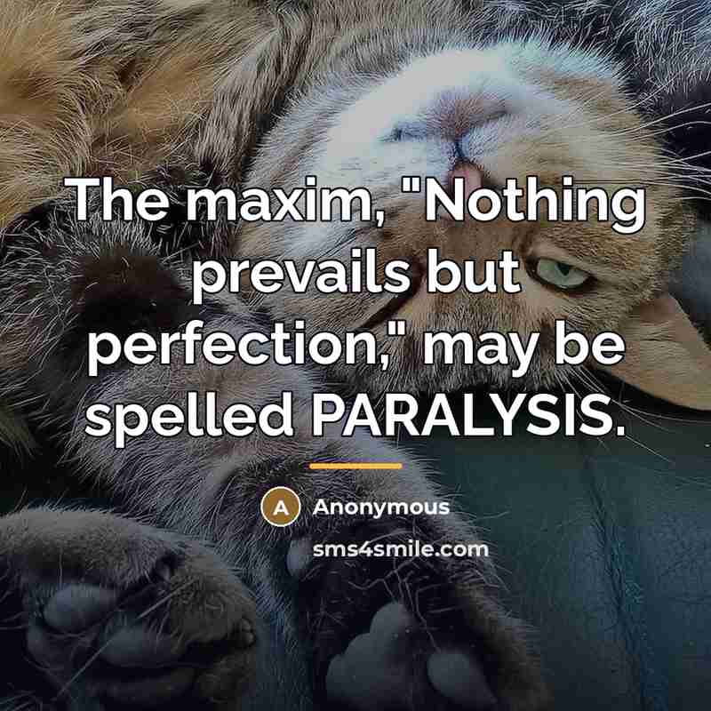 “The maxim, "Nothing prevails but perfection," may be spelled PARALYSIS.…” quote by Anonymous