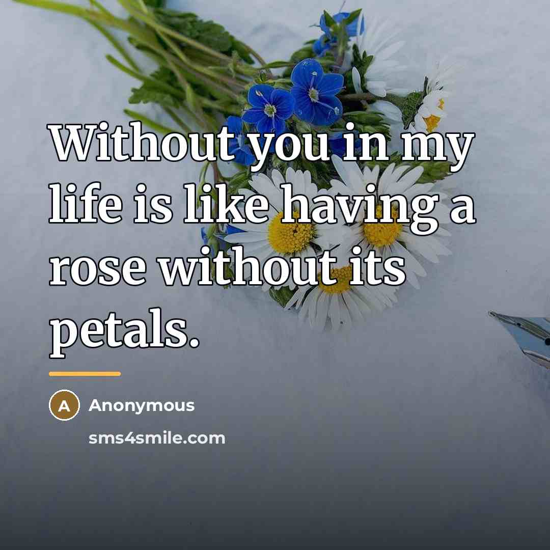 “Without you in my life is like having a rose…” quote by Anonymous