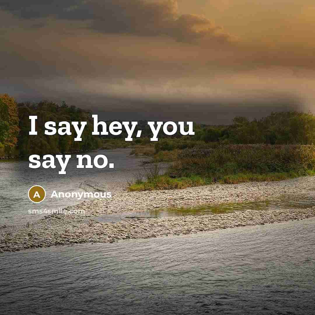 “I say hey, you say no.…” quote by Anonymous