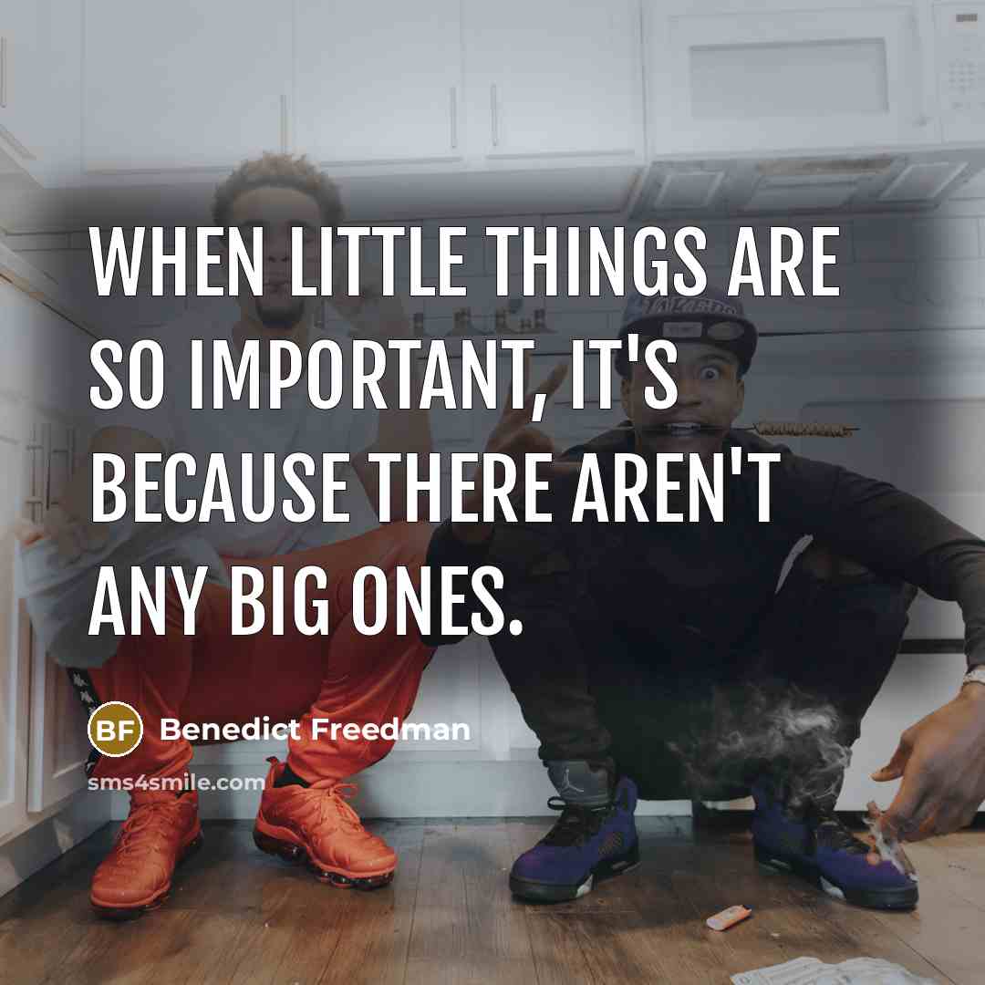 “When little things are so important, it's because there aren't…” quote by Benedict Freedman