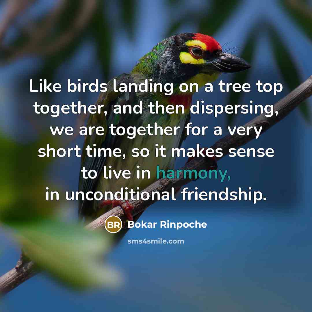 “Like birds landing on a tree top together, and then…” quote by Bokar Rinpoche