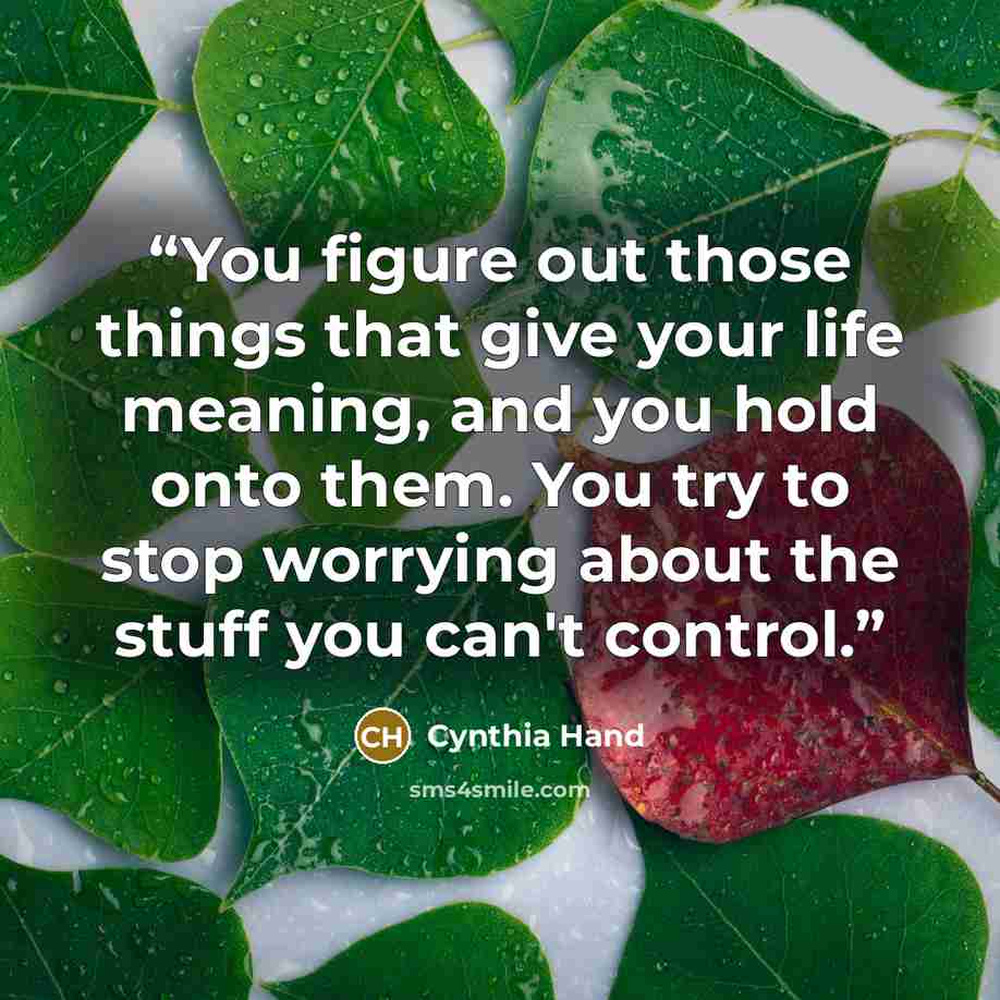 “You figure out those things that give your life meaning, and you hold onto them. You try to stop worrying about the stuff you can't control.” quote by Cynthia Hand