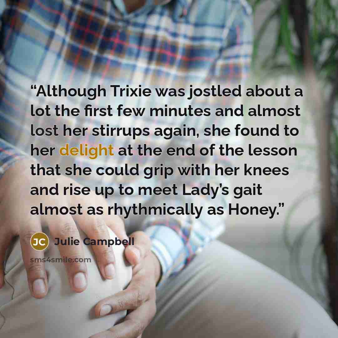 “Although Trixie was jostled about a lot the first few minutes and almost lost her stirrups again, she found to her delight at the end of the lesson that she could grip with her knees and rise up to meet Lady’s gait almost as rhythmically as Honey.” quote by Julie Campbell