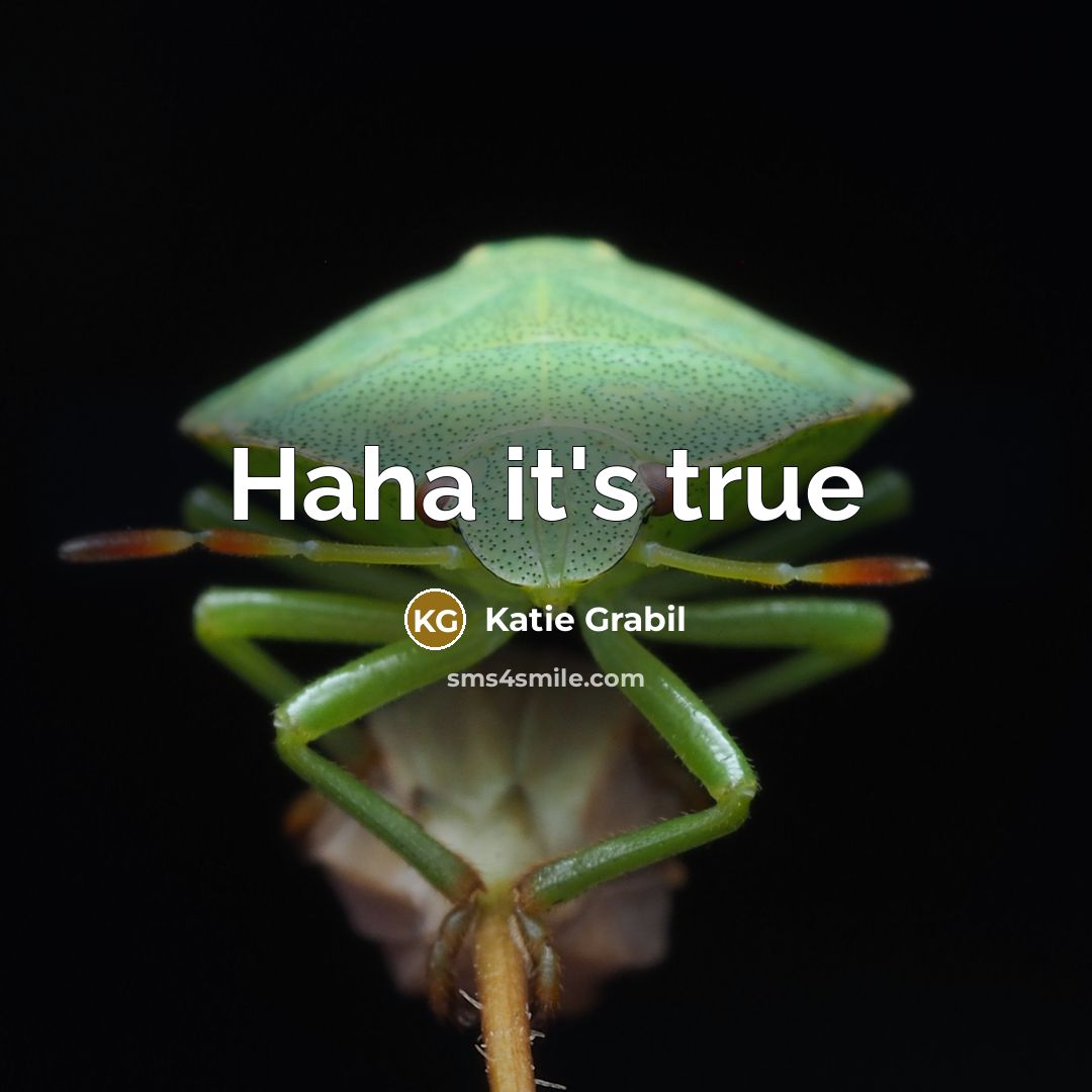 “Haha it's true…” quote by Katie Grabil