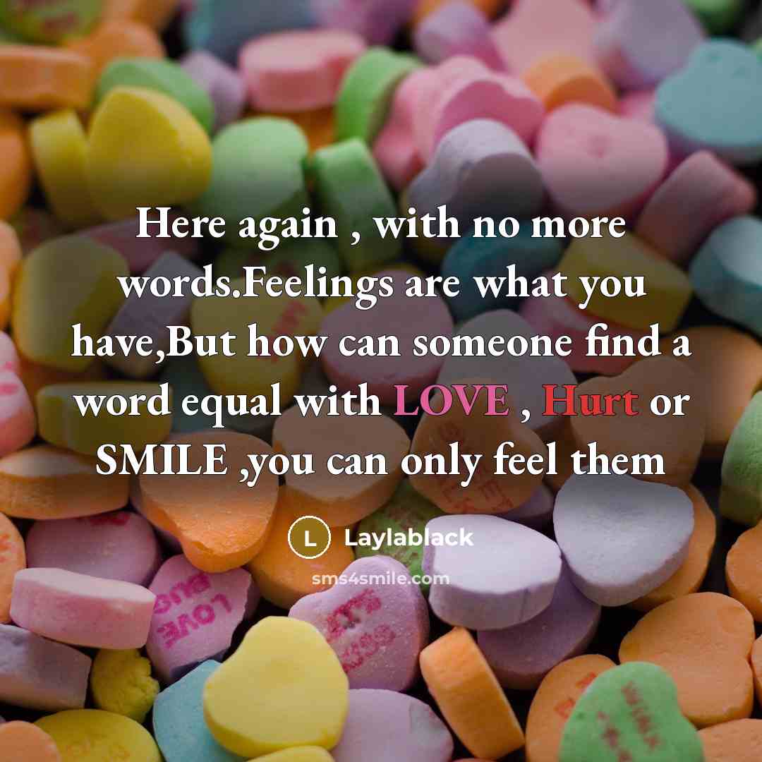 “Here again , with no more words.Feelings are what you…” quote by Laylablack