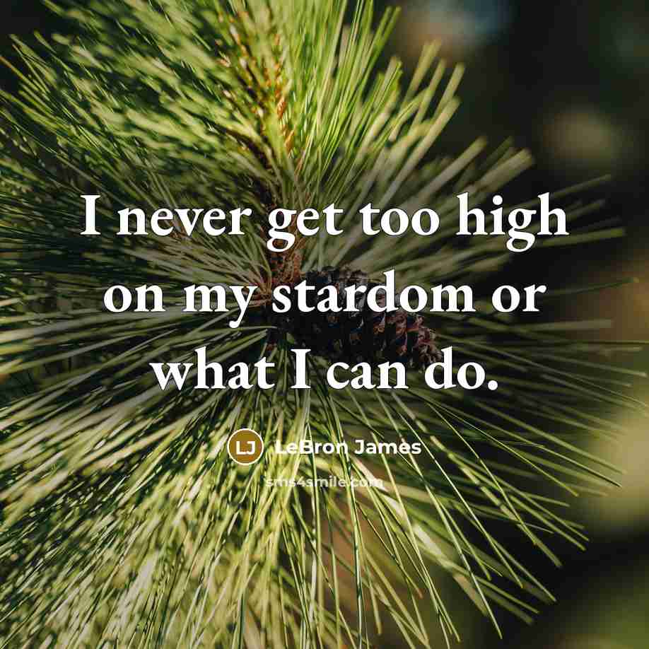 “I never get too high on my stardom or what…” quote by LeBron James