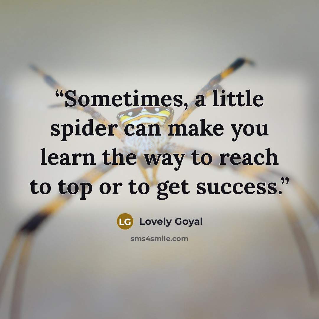 “Sometimes, a little spider can make you learn the way to reach to top or to get success.” quote by Lovely Goyal