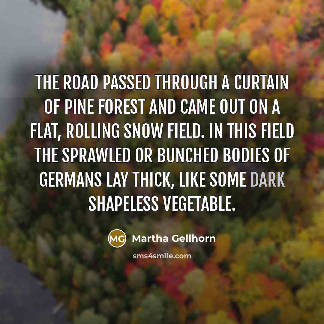 “The road passed through a curtain of pine forest and…” quote by Martha Gellhorn