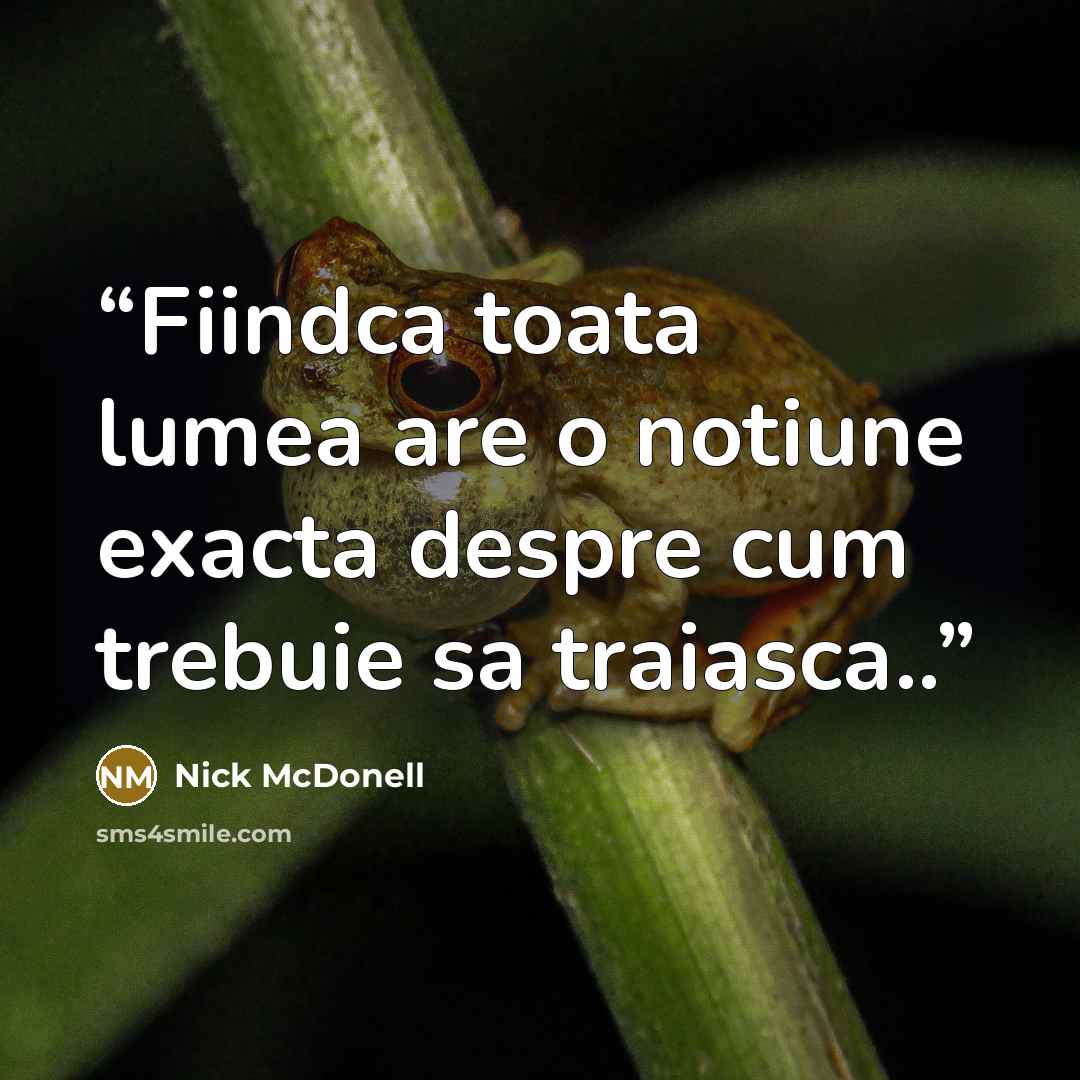 “Fiindca toata lumea are o notiune exacta despre cum trebuie sa traiasca..” quote by Nick McDonell