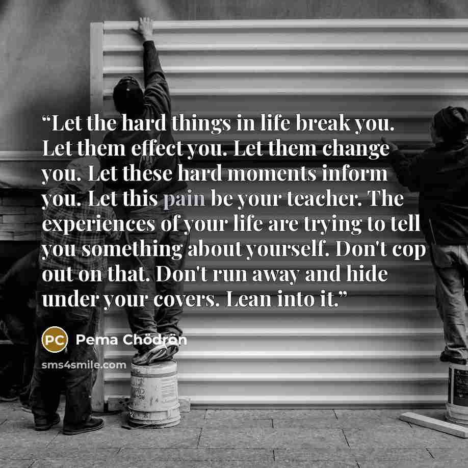 “Let the hard things in life break you. Let them effect you. Let them change you. Let these hard moments inform you. Let this pain be your teacher. The experiences of your life are trying to tell you something about yourself. Don't cop out on that. Don't run away and hide under your covers. Lean…” quote by Pema Chodron