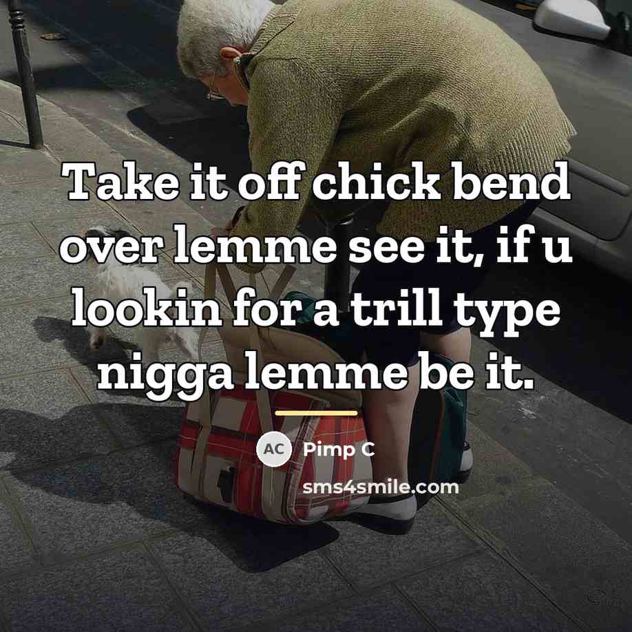 “Take it off chick bend over lemme see it, if…” quote by Pimp C