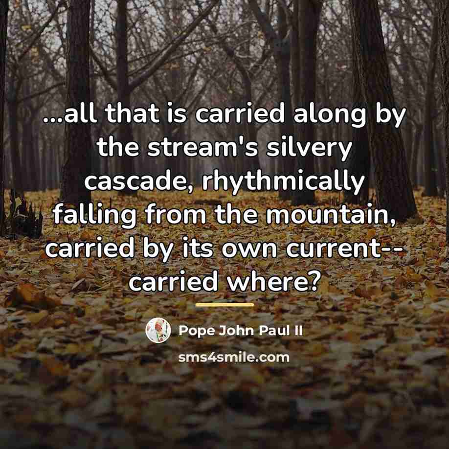 “...all that is carried along by the stream's silvery cascade,…” quote by Pope John Paul II