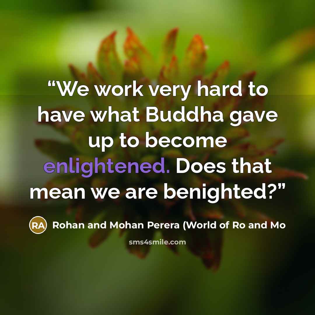 “We work very hard to have what Buddha gave up to become enlightened. Does that mean we are benighted?” quote by Rohan and Mohan Perera (World of Ro and Mo