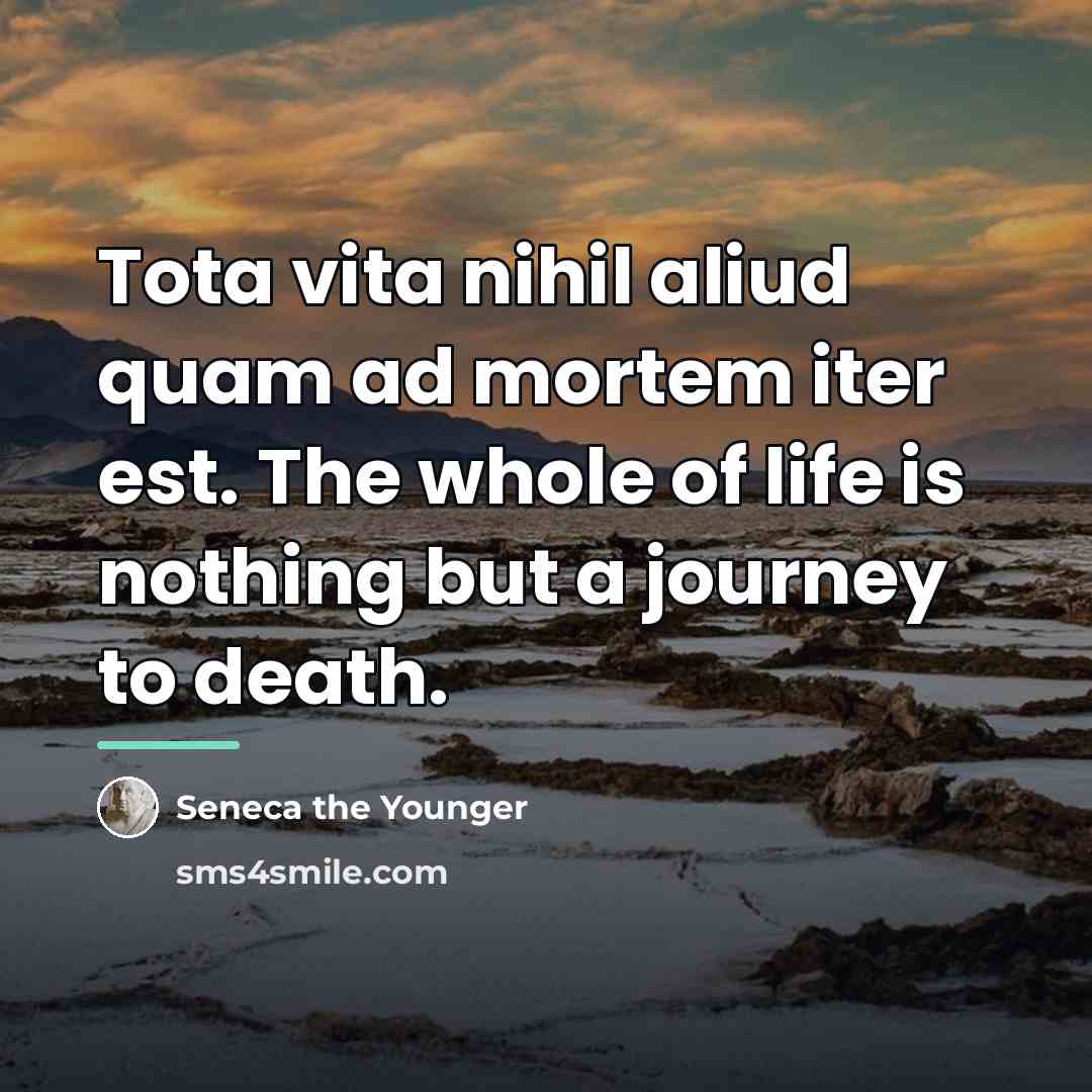 “Tota vita nihil aliud quam ad mortem iter est. The…” quote by Seneca the Younger