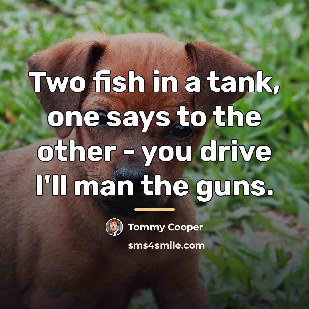 “Two fish in a tank, one says to the other…” quote by Tommy Cooper