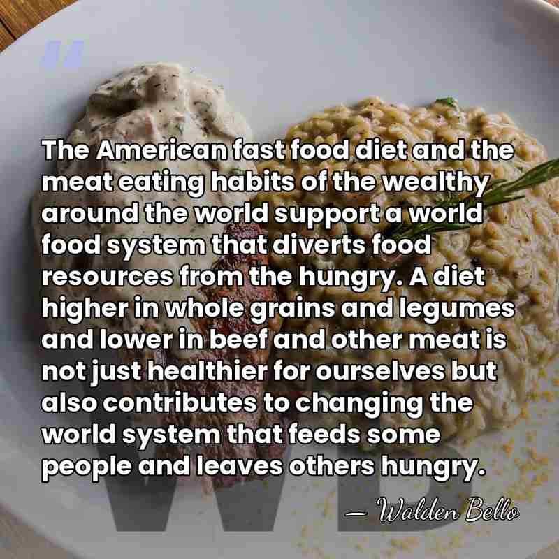The American fast food diet and the meat eating habits of the&hellip; - Walden Bello