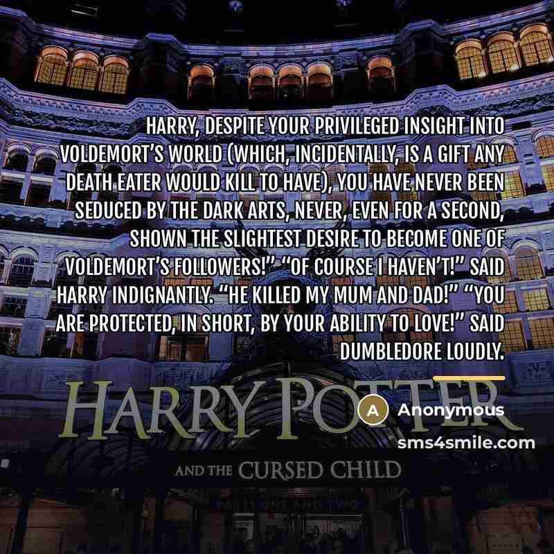 “Harry, despite your privileged insight into Voldemort’s world (which, incidentally,…” quote by Anonymous