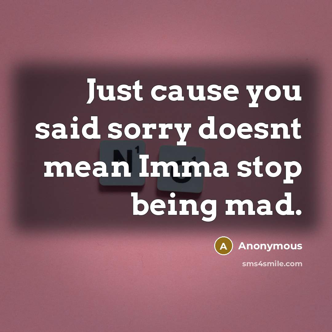 “Just cause you said sorry doesnt mean Imma stop being…” quote by Anonymous