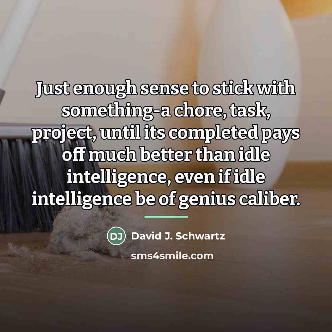 “Just enough sense to stick with something-a chore, task, project,…” quote by David J. Schwartz