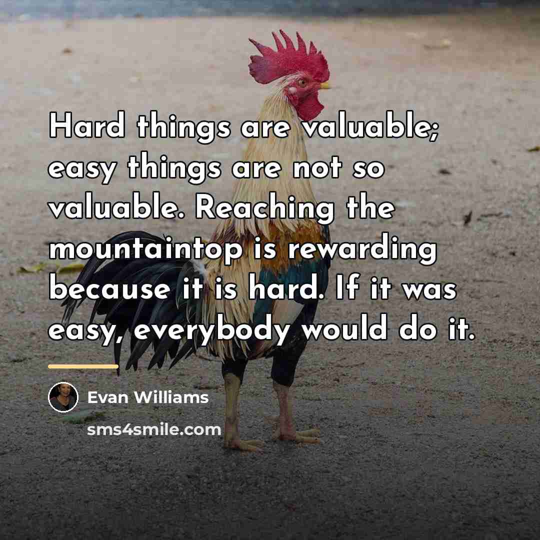 “Hard things are valuable; easy things are not so valuable.…” quote by Evan Williams