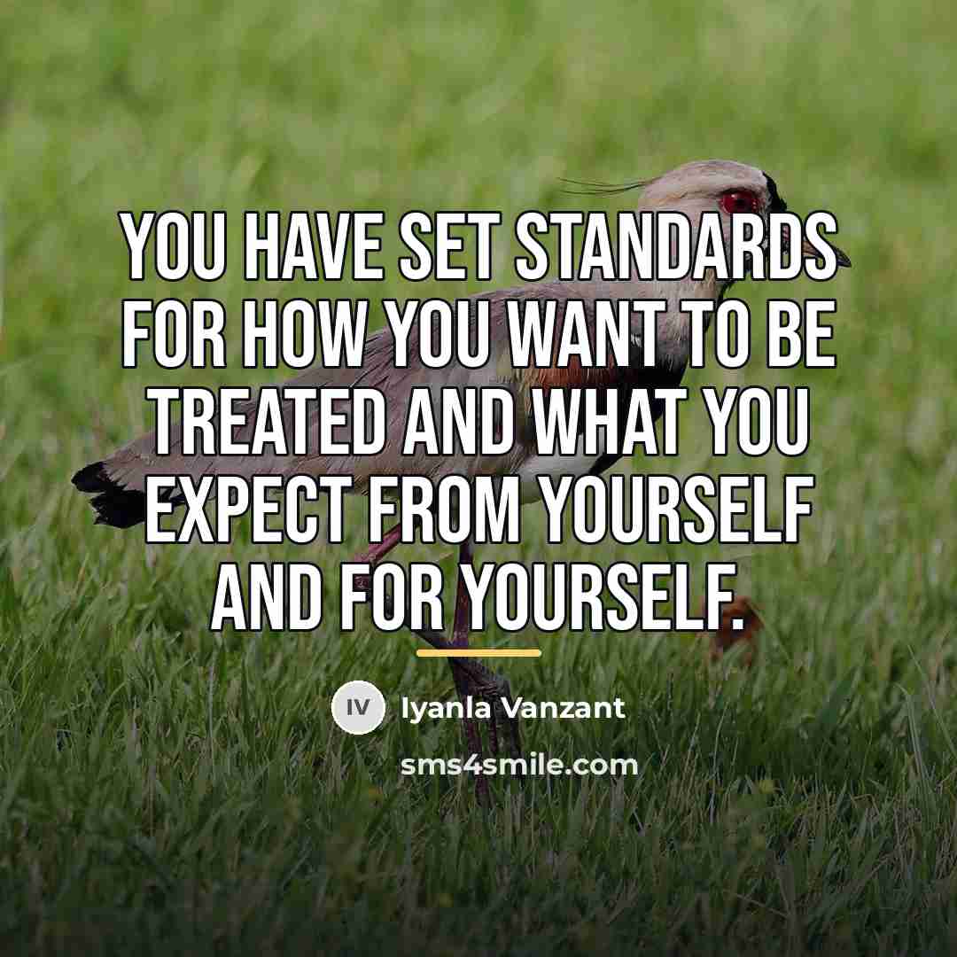 “You have set standards for how you want to be…” quote by Iyanla Vanzant