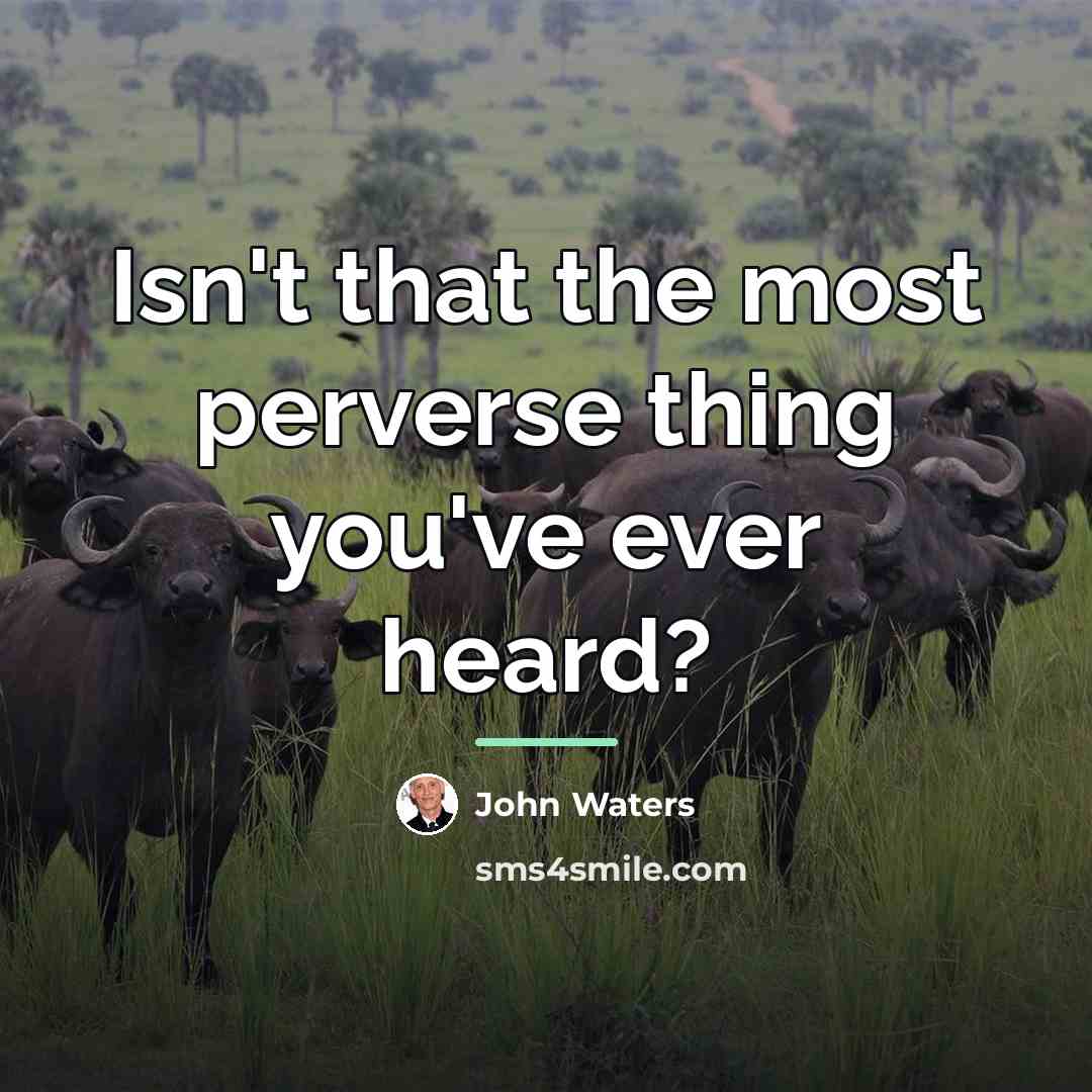 “Isn't that the most perverse thing you've ever heard?…” quote by John Waters