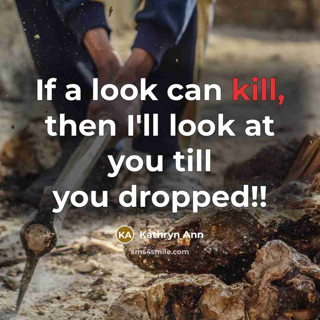 “If a look can kill, then I'll look at you…” quote by Kathryn Ann