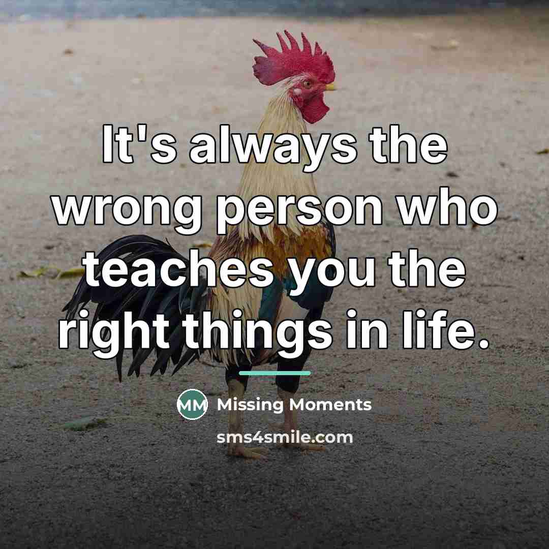 “It's always the wrong person who teaches you the right…” quote by Missing Moments