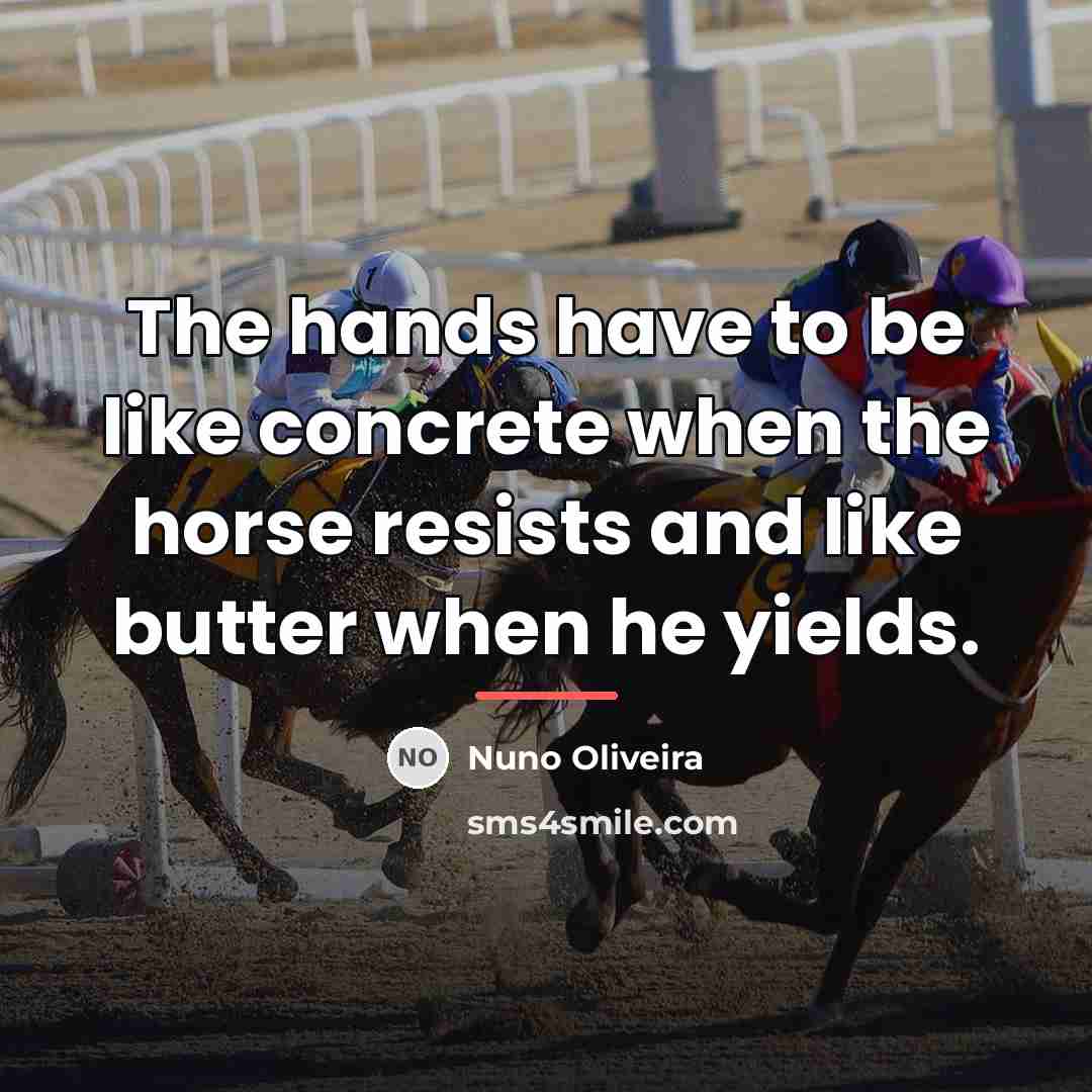 “The hands have to be like concrete when the horse…” quote by Nuno Oliveira