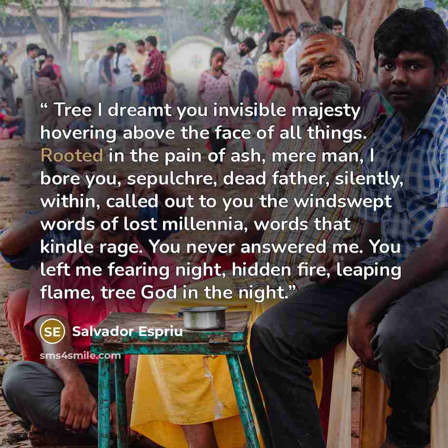 “Tree I dreamt you invisible majesty hovering above the face of all things. Rooted in the pain of ash, mere man, I bore you, sepulchre, dead father, silently, within, called out to you the windswept words of lost millennia, words that kindle rage. You never answered me. You left me fearing night…” quote by Salvador Espriu