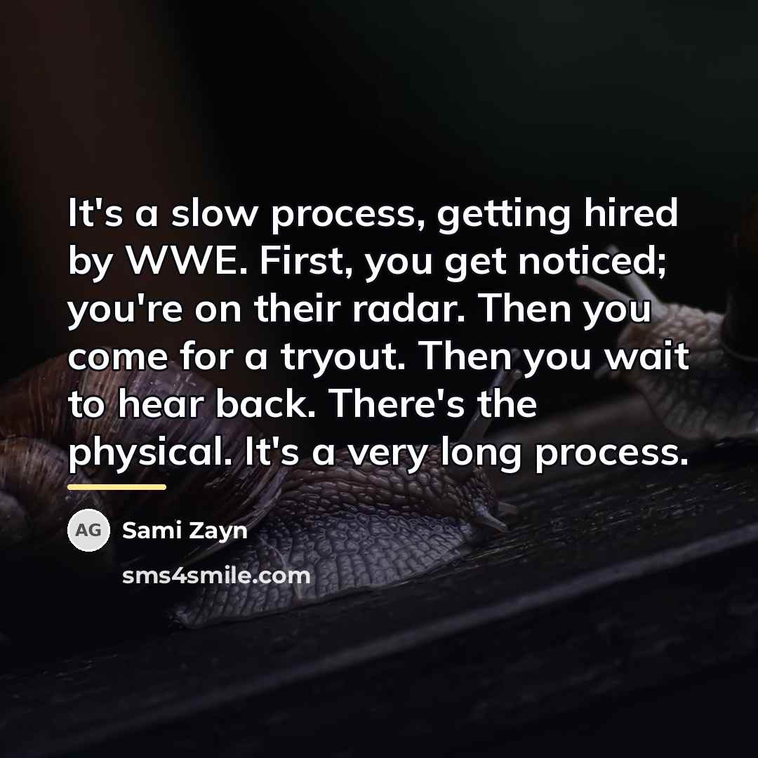 “It's a slow process, getting hired by WWE. First, you…” quote by Sami Zayn