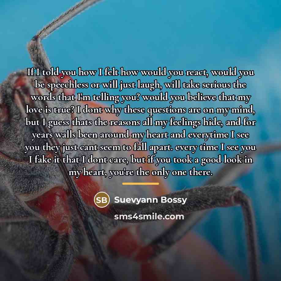 “If I told you how I felt how would you…” quote by Suevyann Bossy