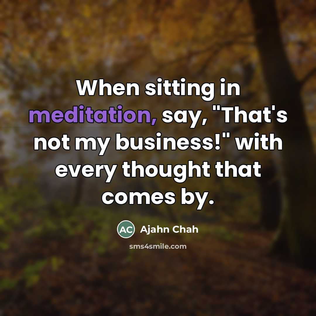 “When sitting in meditation, say, "That's not my business!" with…” quote by Ajahn Chah