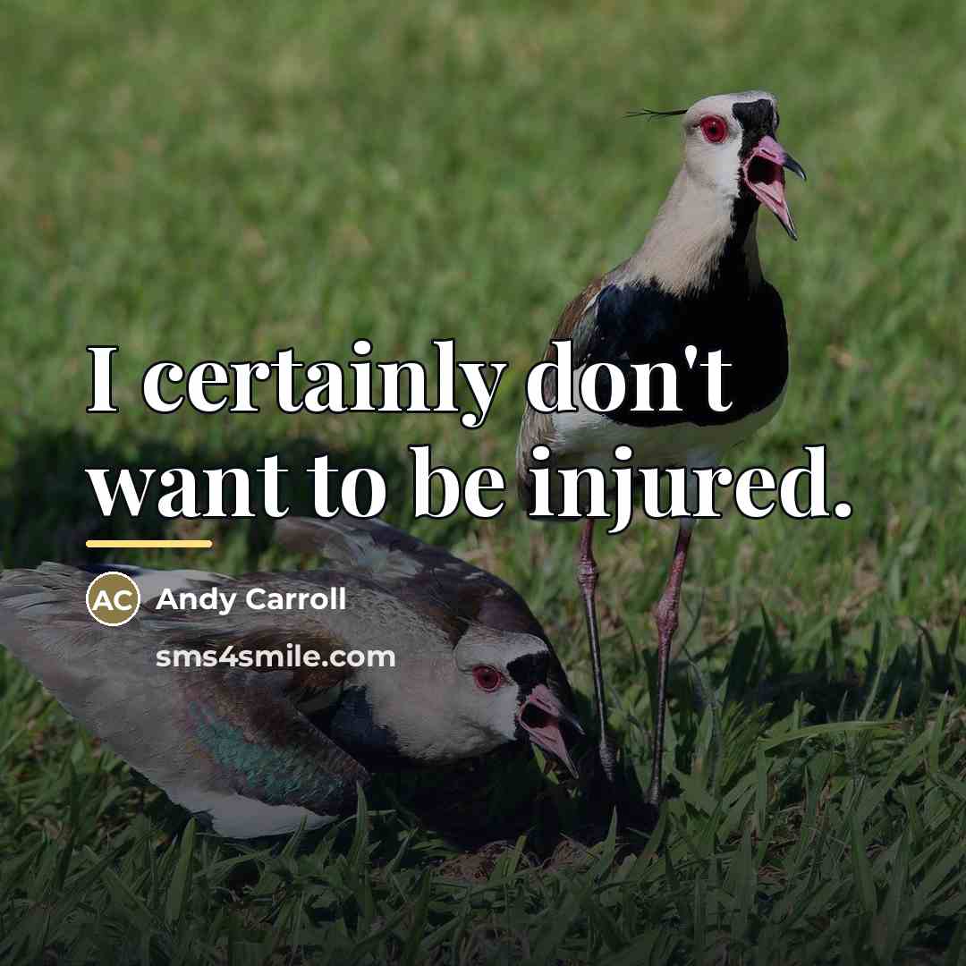 “I certainly don't want to be injured.…” quote by Andy Carroll