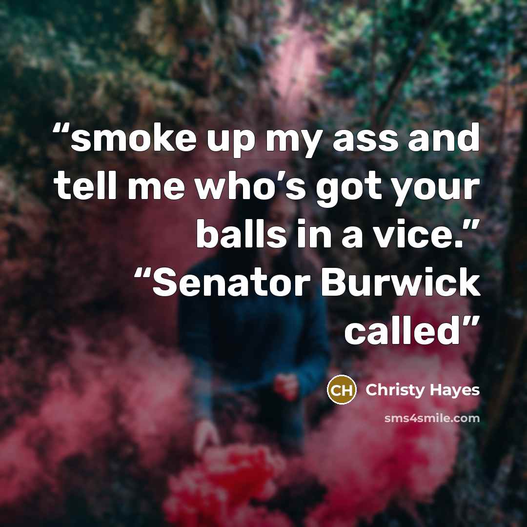 “smoke up my ass and tell me who’s got your balls in a vice.” “Senator Burwick called” quote by Christy Hayes