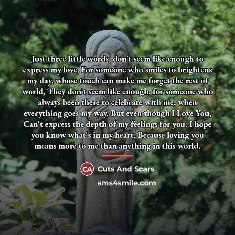 “Just three little words, don't seem like enough to express…” quote by Cuts And Scars