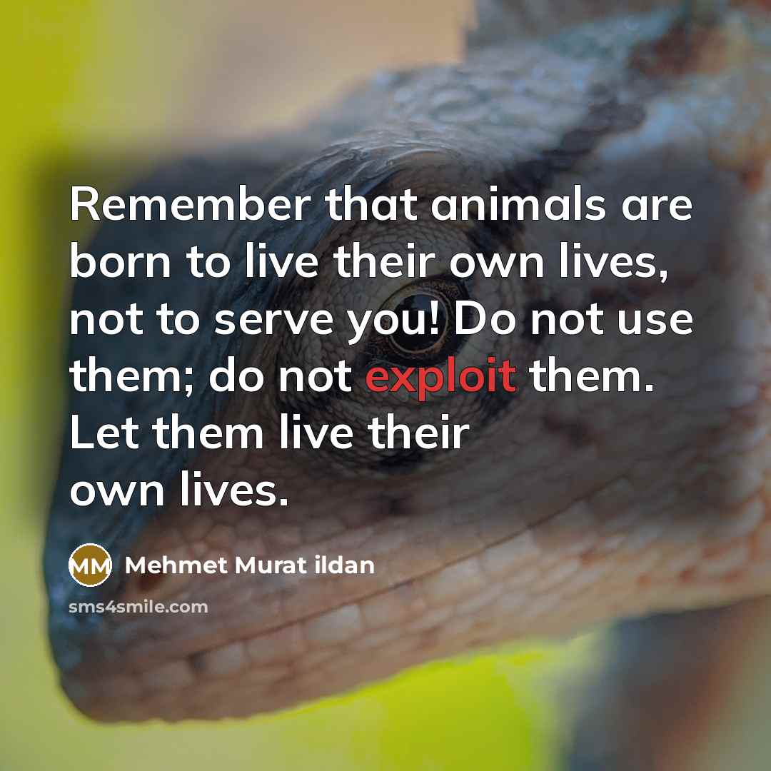 “Remember that animals are born to live their own lives,…” quote by Mehmet Murat Ildan