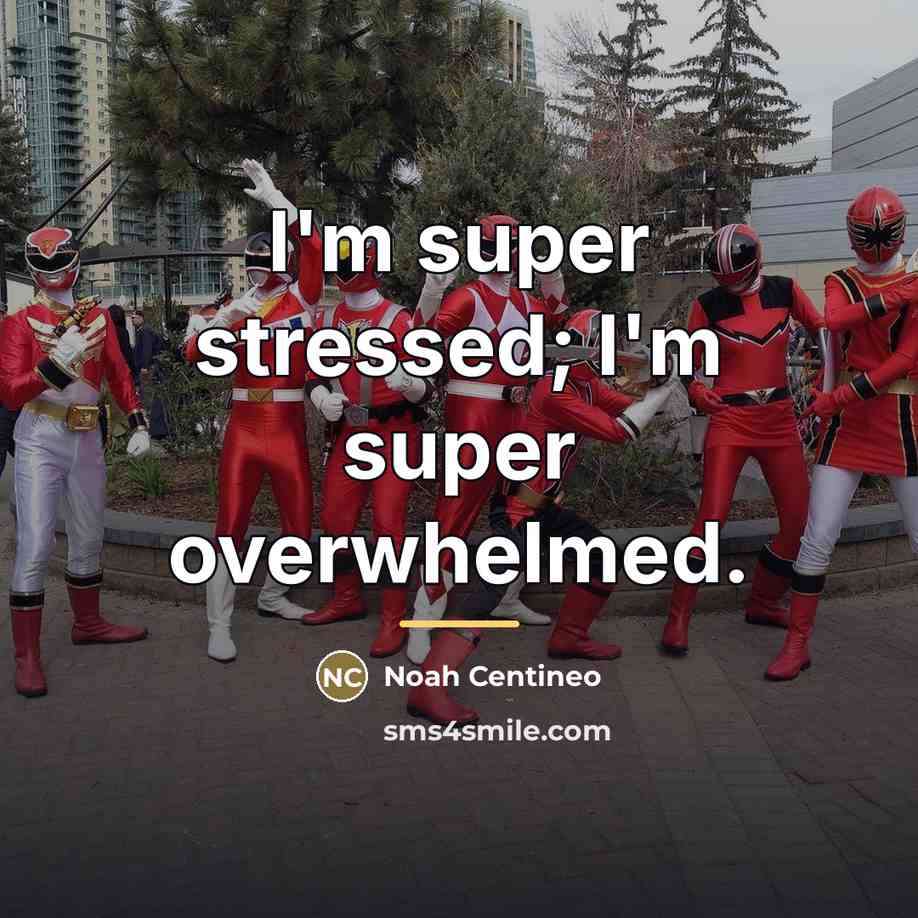 “I'm super stressed; I'm super overwhelmed.…” quote by Noah Centineo