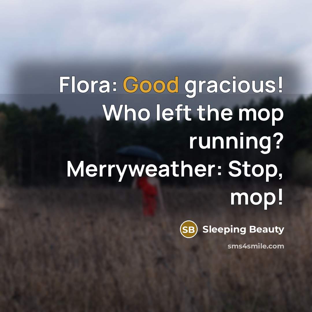 “Flora: Good gracious! Who left the mop running? Merryweather: Stop,…” quote by Sleeping Beauty
