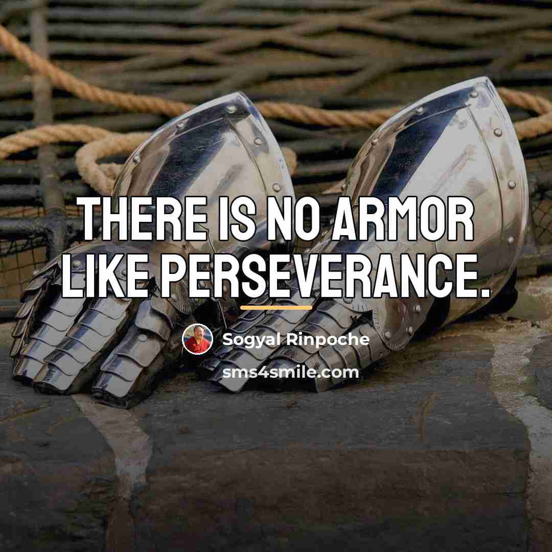“There is no armor like perseverance.…” quote by Sogyal Rinpoche